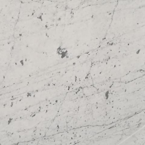 C Venatino 830 close-up