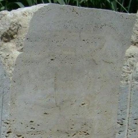 502